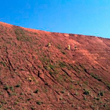 Restauraciones paisajistas Coralsur